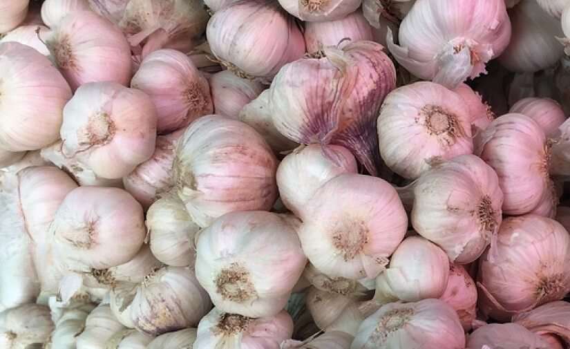 Purple Garlic vs. White Garlic