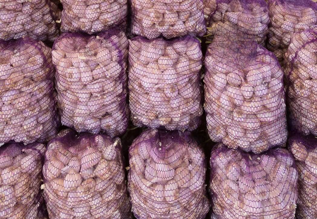 Garlic Wholesale Price Comprehensive Guide